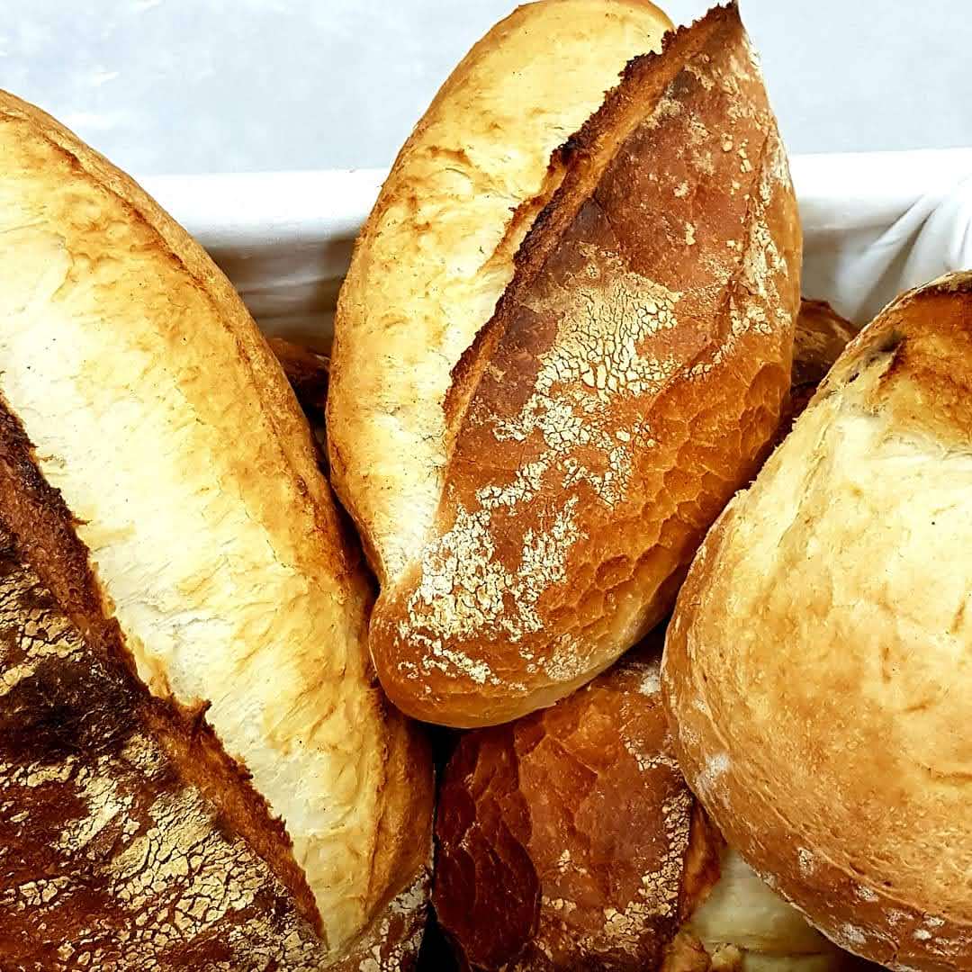 Bread